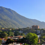 Venta de Parcela en la Alta Florida de 1231,92M2