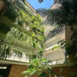 Alquiler de Apartamento en Campo Alegre Chacao de 110M2